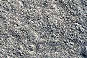 Positive Relief Feature in Nepenthes Planum