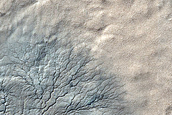 Monitor Seasonal Changes at South Polar Cracked and Gullied Site