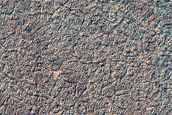 Seasonal Frost Distribution at Site of Context Camera Image