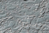 South Polar Residual Cap Monitoring