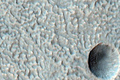Concentric Crater Fill with Impact Craters