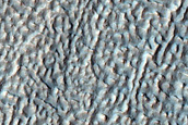 Gullies in Crater near Cruls Crater