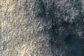 Dune Survey