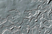 South Polar Residual Cap Monitoring