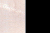 Dune Survey