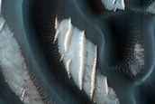 Dune Survey