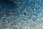 Dune Survey
