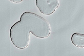 South Polar Residual Cap Site