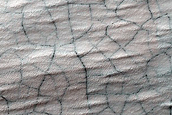South Polar Perennial Ice Outlier Monitoring