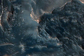 Dune Field