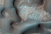 Dune Survey