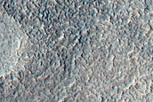 Monitoring Dust Devil Tracks