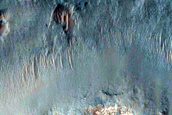 Gully Associated Light-Toned Material Monitoring