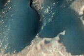 Dune Survey
