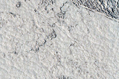 Inflated Lava in Cerberus Region