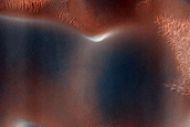 USGS Dune Database Entry Number 2521-534