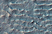 Gullies in Crater in Terra Cimmeria