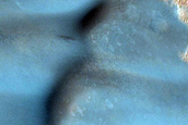 Seasonal Monitoring of Southern Polar Dunes