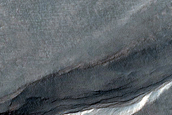 Gullies in Southern Mid-Latitude Crater