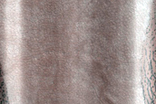 Dune Monitoring in Kunowsky Crater