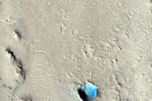 Thermal Anomaly in Young Lava Flows of Elysium Mons