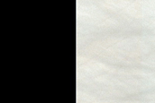 Dune Survey
