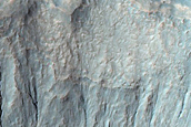 Gully Associated Light-Toned Material Monitoring