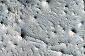 Ridge Network in Arabia Terra