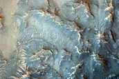 Dune Field