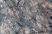 Dune Survey