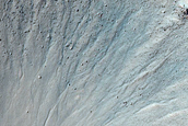 Gully Monitoring