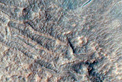 Gully Monitoring