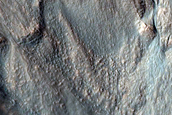 Gully Monitoring