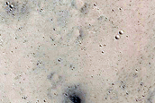 Looking for Gullies
