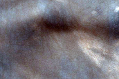 Possible Compound Dune in USGS Dune Database Entry Number 1195-773
