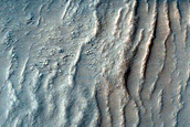 Dune Field