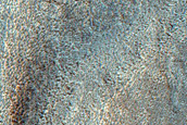 Branched Channel in Mamers Valles