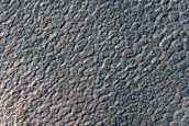 Polar Pit Gullies
