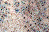 Seasonal Monitoring near Dorsa Argentea