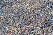 Ridges of Various Sizes in Hellas Planitia