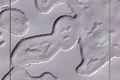 South Polar Residual Cap Stereo Campaign