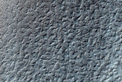 Dune Field