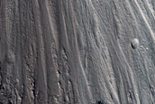 Candidate Tianwen-3 Landing Region