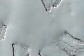 South Polar Residual Cap Stereo Campaign