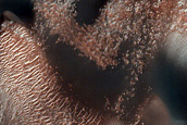 Dune Monitoring in Renaudot Crater