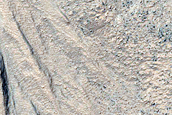 Gullies with Intricate Tributaries in Charitum Montes