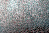 Dune Monitoring in Crater