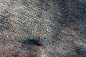 Dune Field