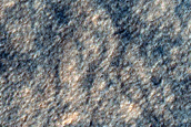 Dune Field