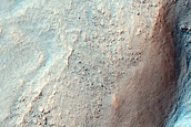 Gully Monitoring
